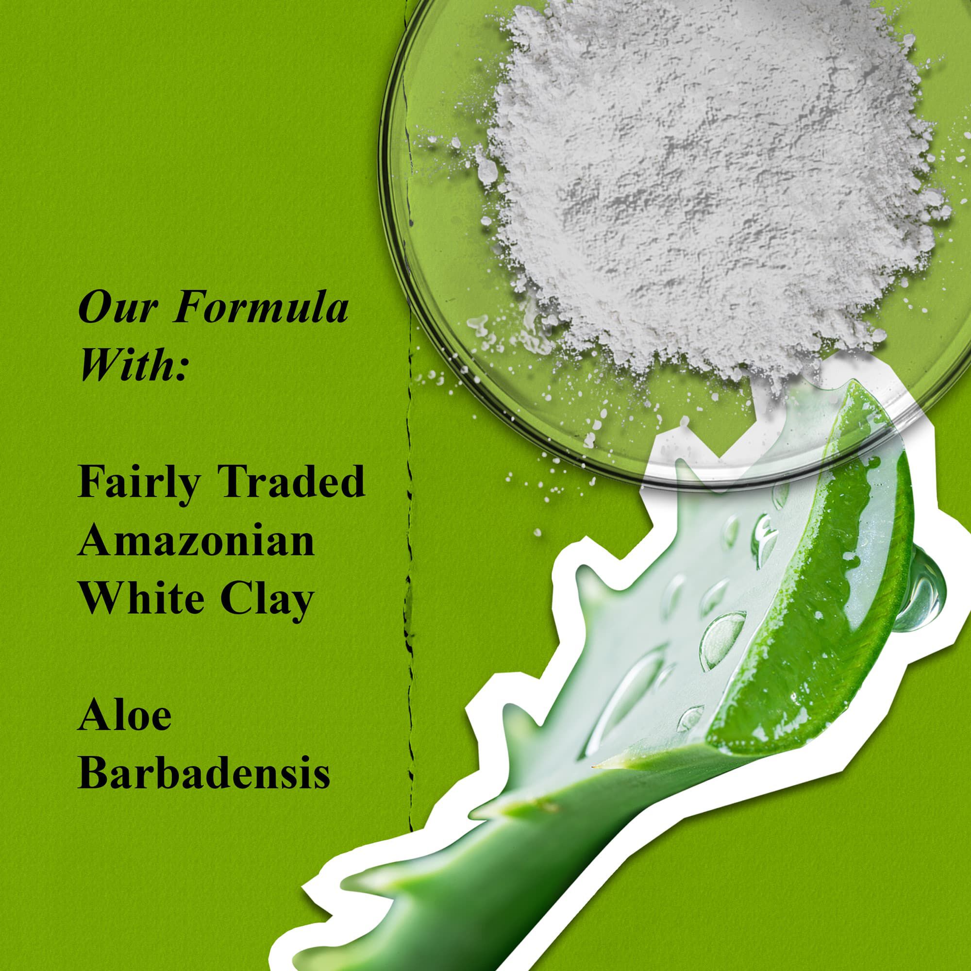 Rare Earth Deep Pore Cleansing Masque