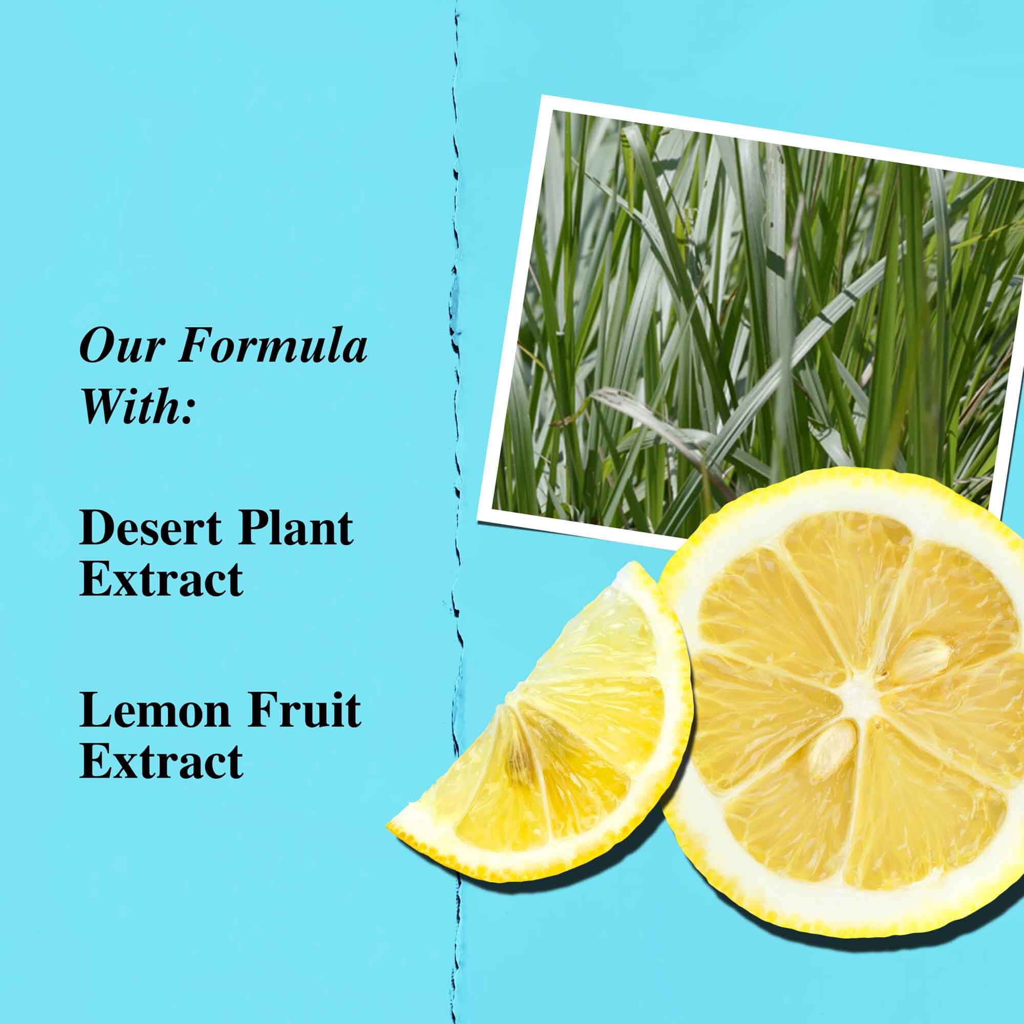 Grafica degli ingredienti chiave che evidenzia estratto di pianta del deserto ed estratto di limone.