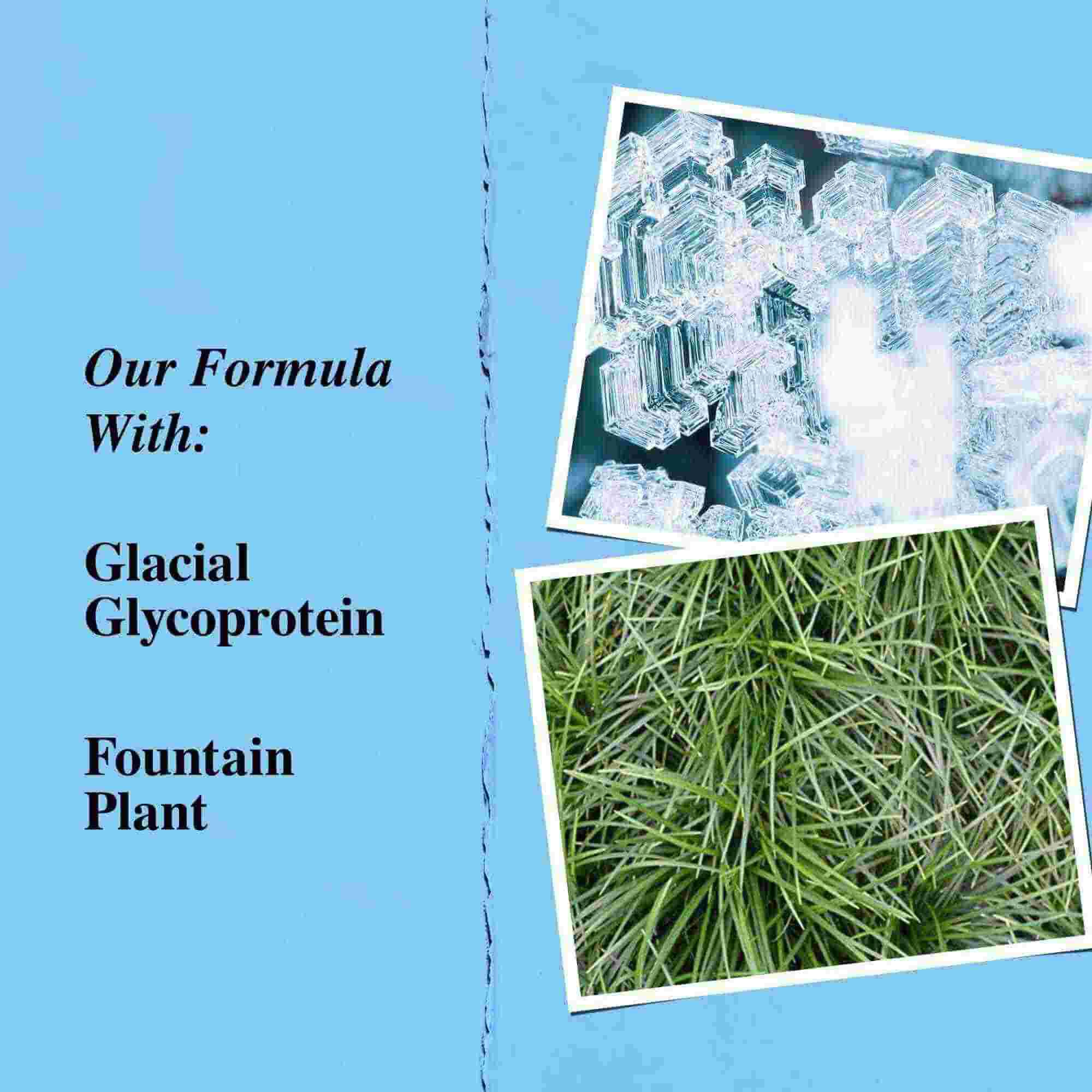 Grafica degli ingredienti chiave che evidenzia glicoproteina glaciale e pianta fontana (Ophiopogon japonicus).
