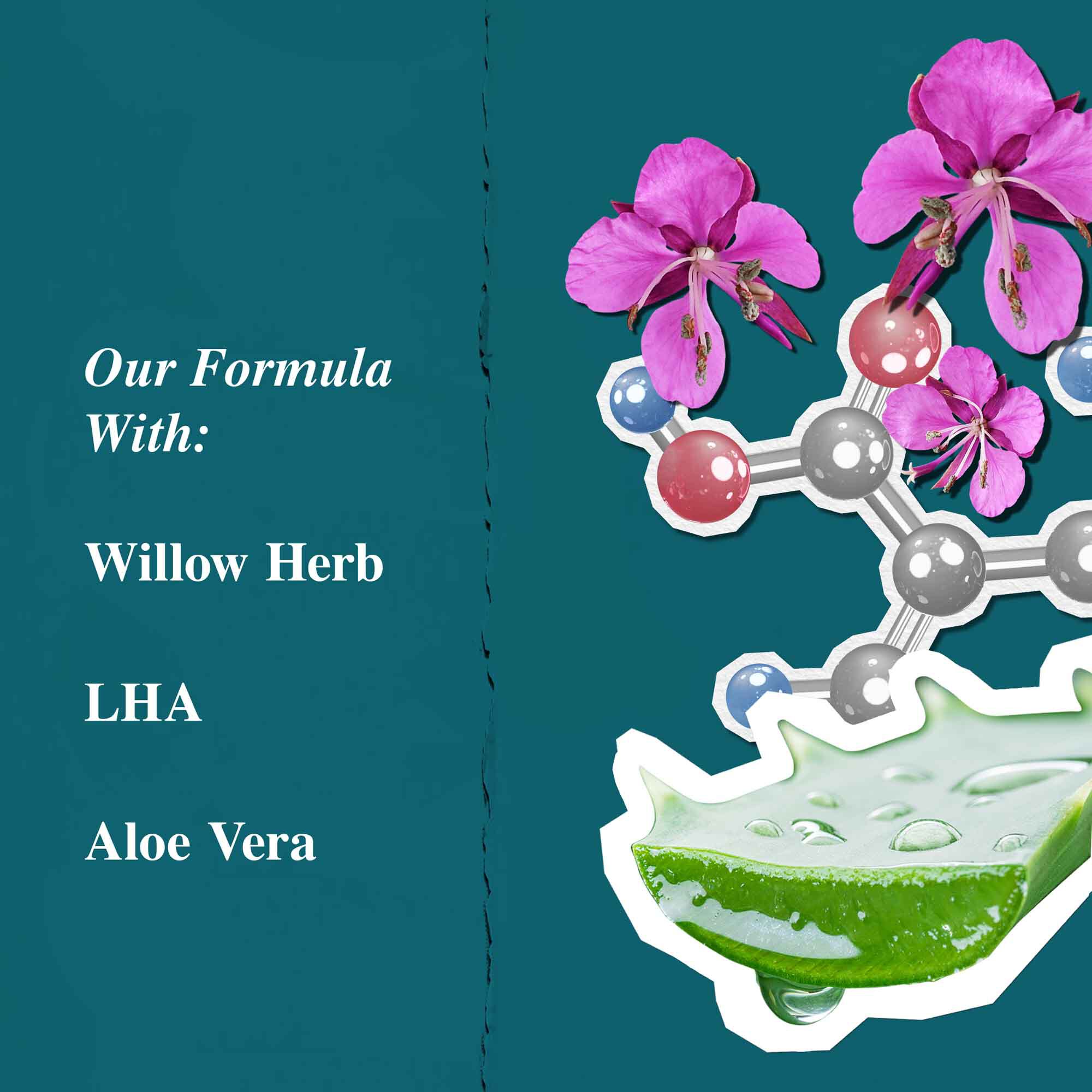 Grafica degli ingredienti per Close Shavers Squadron Smooth Glider Precision Shave Lotion, che evidenzia epilobio e aloe vera.