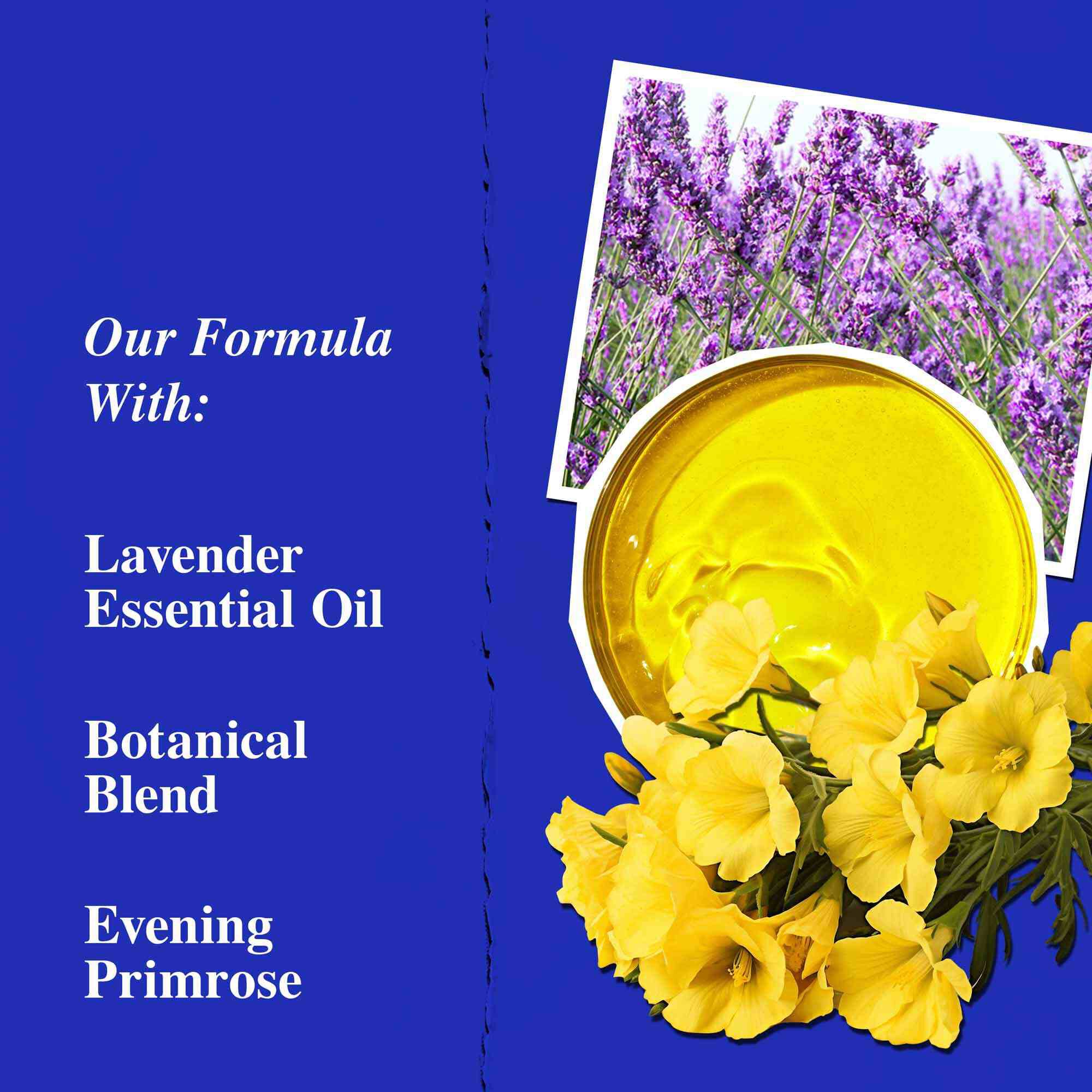 Ingredienti chiave di Midnight Recovery Concentrate, che evidenziano olio essenziale di lavanda, olio di enotera e squalano.