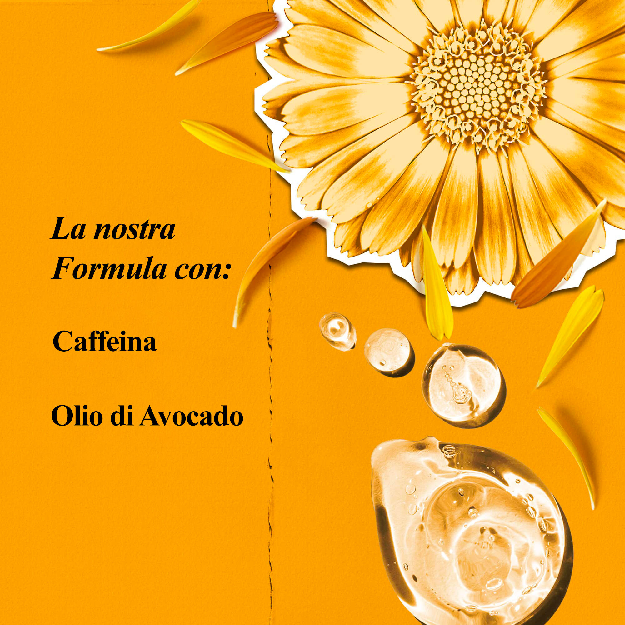 Ingredienti di Kiehl's Calendula Deep Cleaning Foaming Face Wash: calendula e glicerina