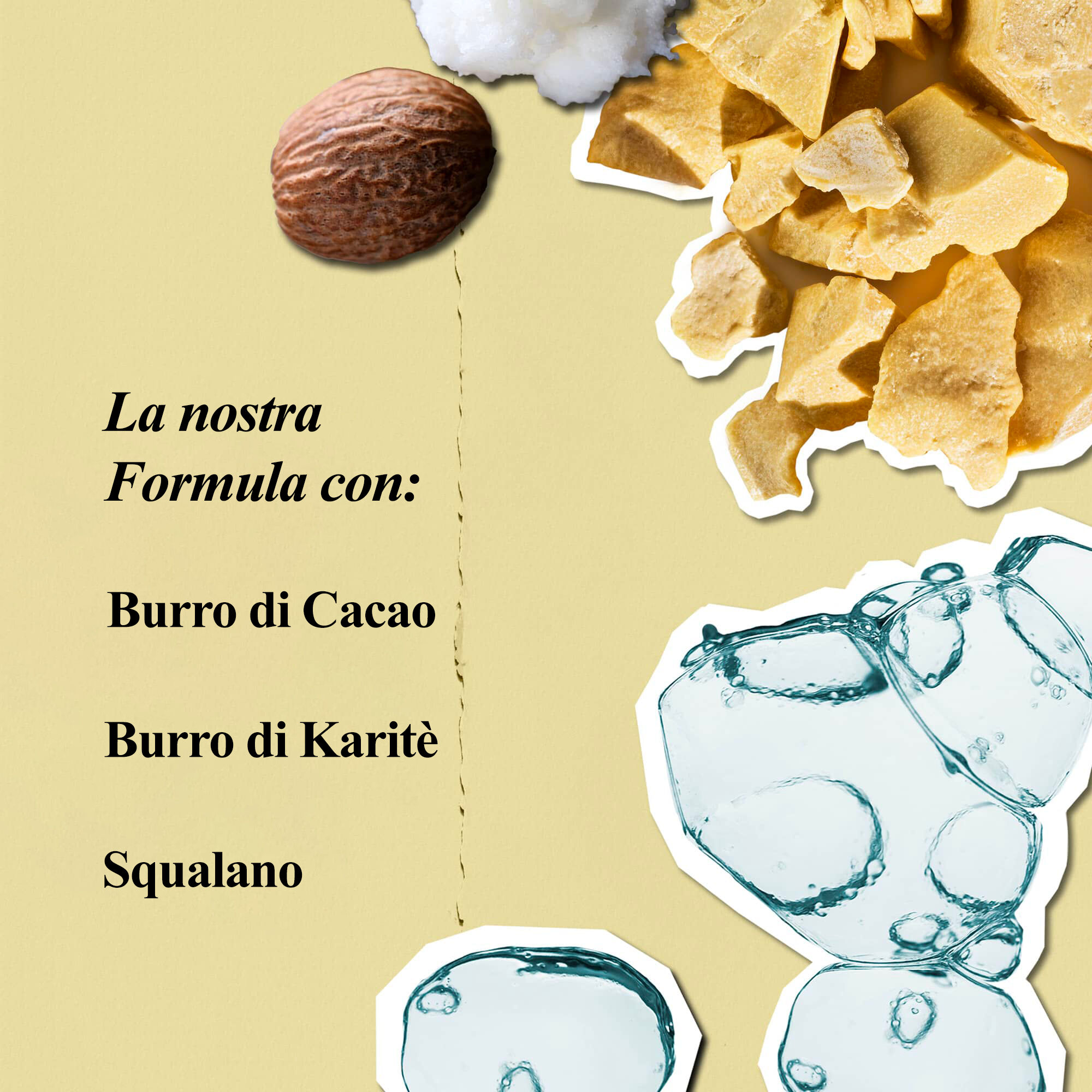 Ingredienti della lozione per il corpo Kiehl's Creme de Corps: burro di cacao, burro di karite e squalano