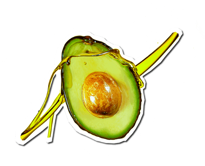 Ingrediente Kiehl's: Olio di avocado