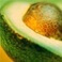 Avocado Oil