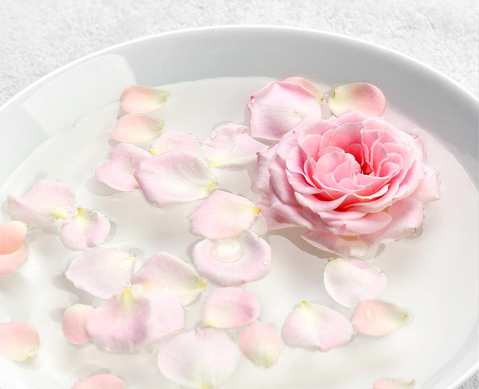 Ingredienti Acqua di Rose
